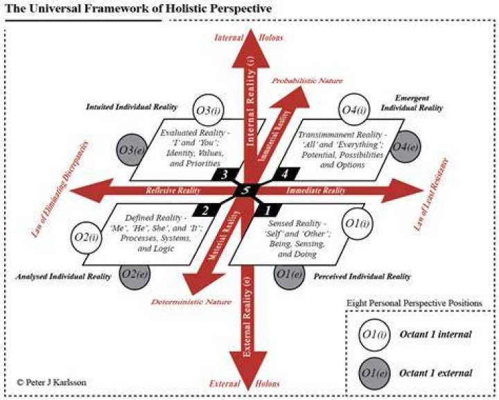 What is holistic perspective example?