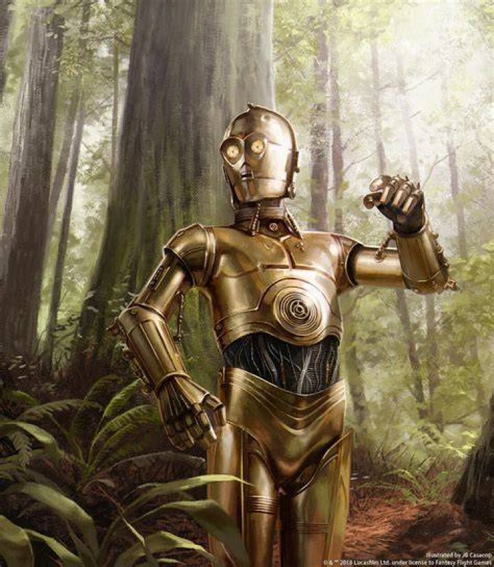 What is human cyborg relations?