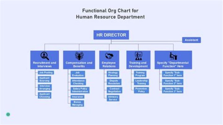 What is human resource division?