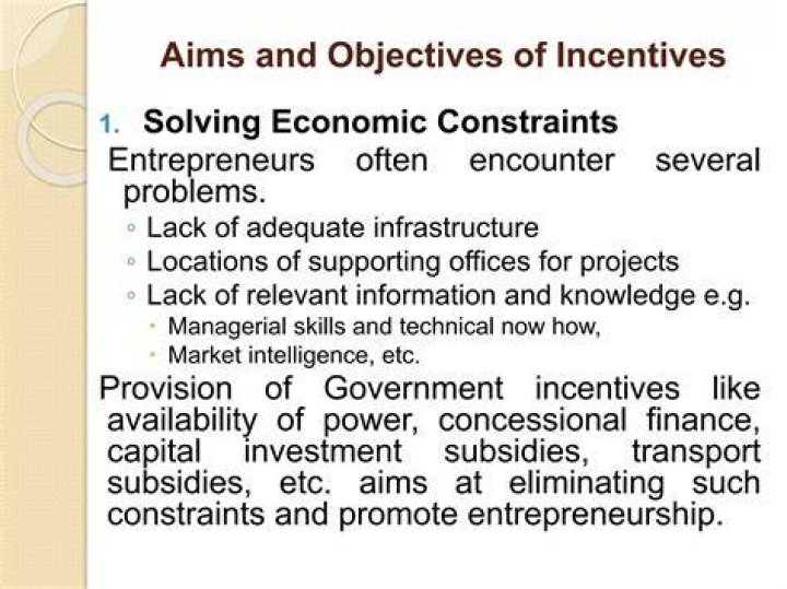 What is incentives in entrepreneurship?