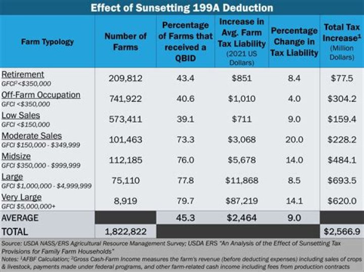 What is included in section 199A unadjusted basis?