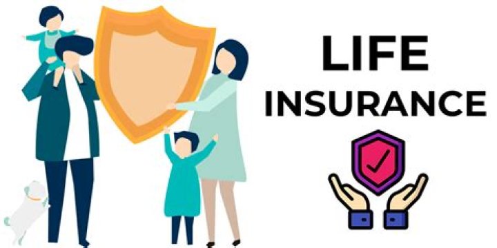 What is insured in life insurance?
