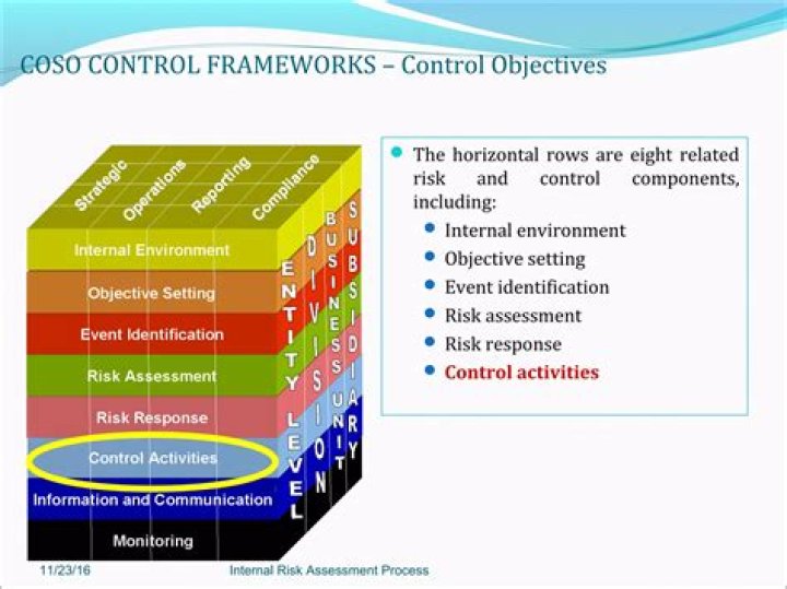 What is internal control and risk management?