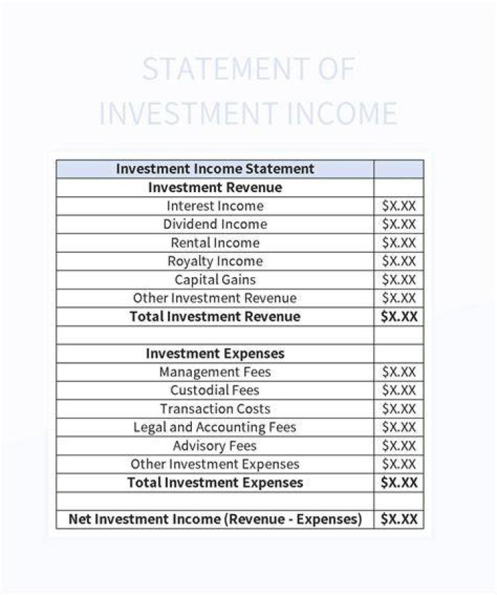 What is investment statement?