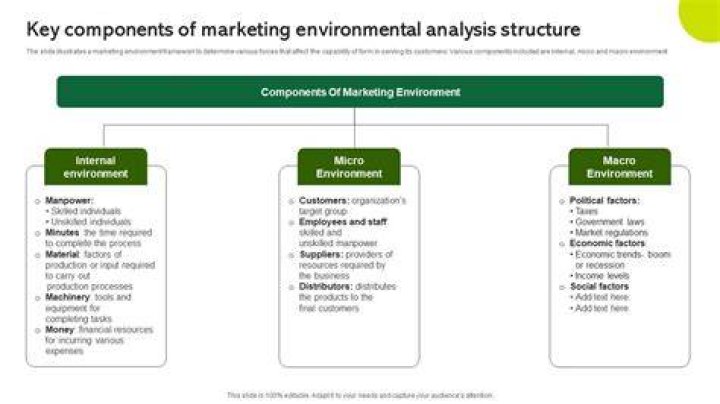 What is involved in the analysis of the marketing environment?