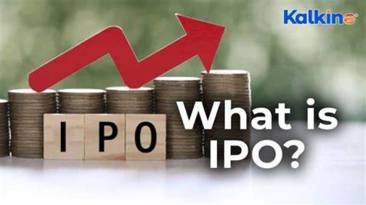 What is IPO in simple words?