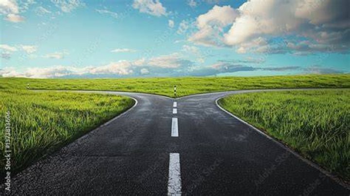 What is it called when a road splits into two?