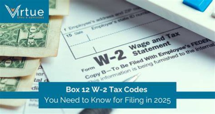 What is Item 12 on a W-2?