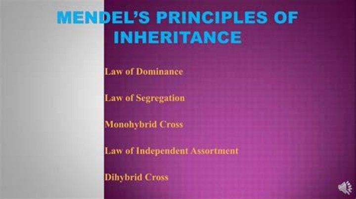 What is law of inheritance in agriculture?