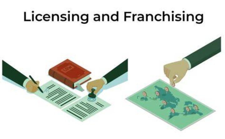 What is licensing explain advantages and disadvantages of licensing?