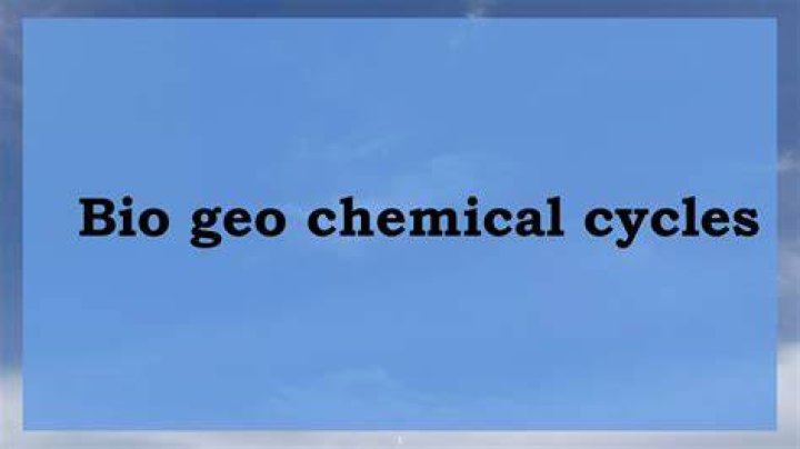 What is meant by bio geo chemical?