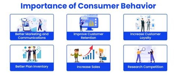 What is meant by consumer Behaviour explain its importance?