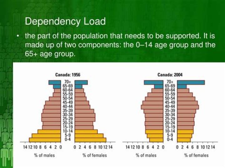 What is meant by dependency load?