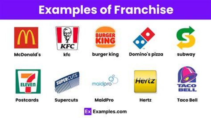 What is meant by franchise company?
