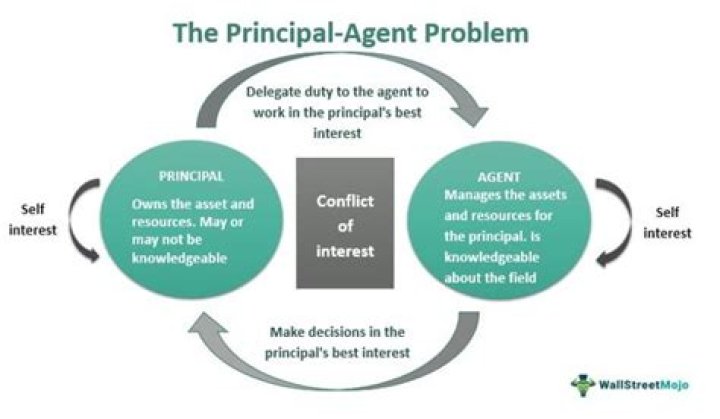 What is meant by the principal-agent problem?