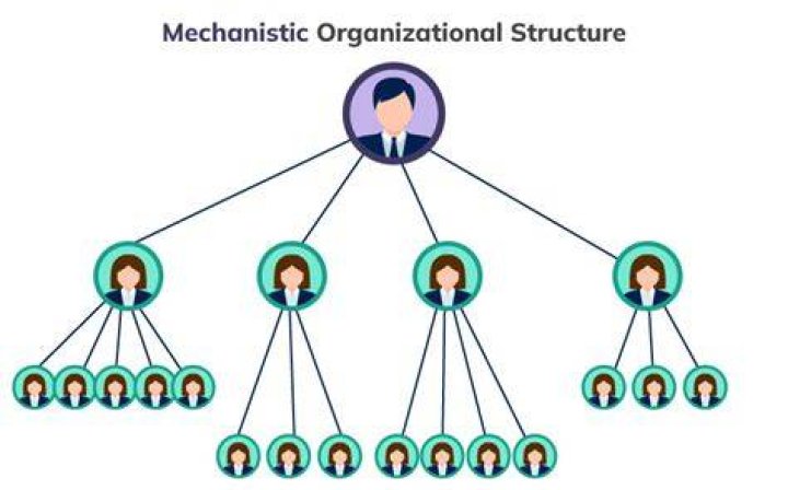 What is mechanistic organization?