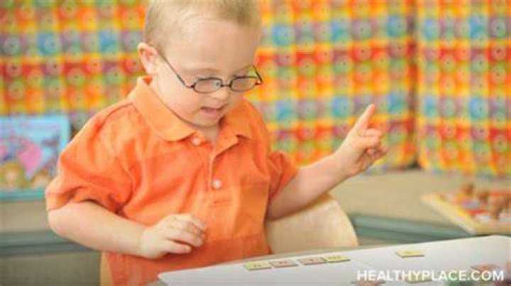 What is mild mentally handicapped?