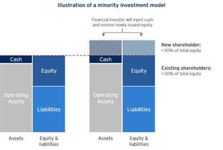 What is minority equity investment?