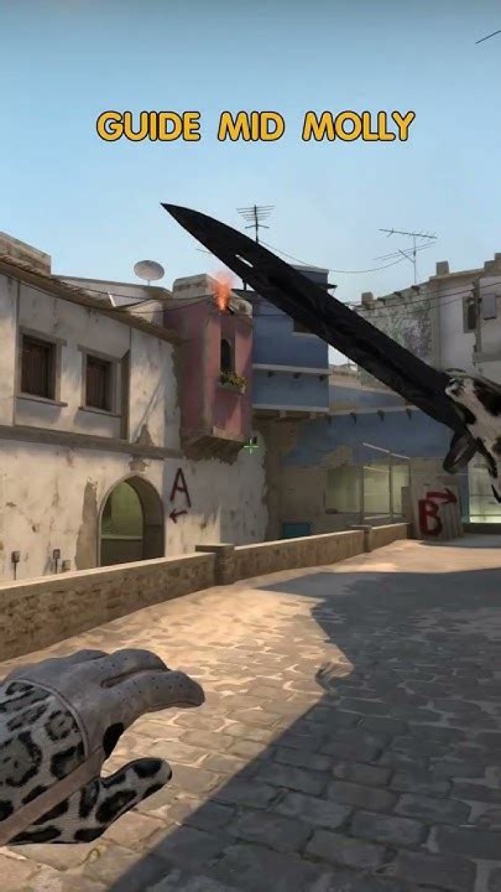 What is Molly in CS:GO?
