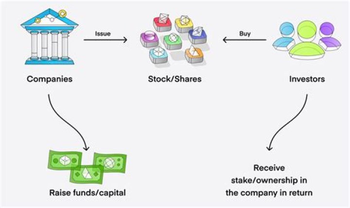 What is money invested in a company by the shareholders?