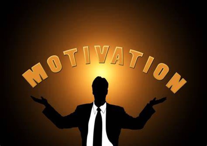 What is motivation in an organization?