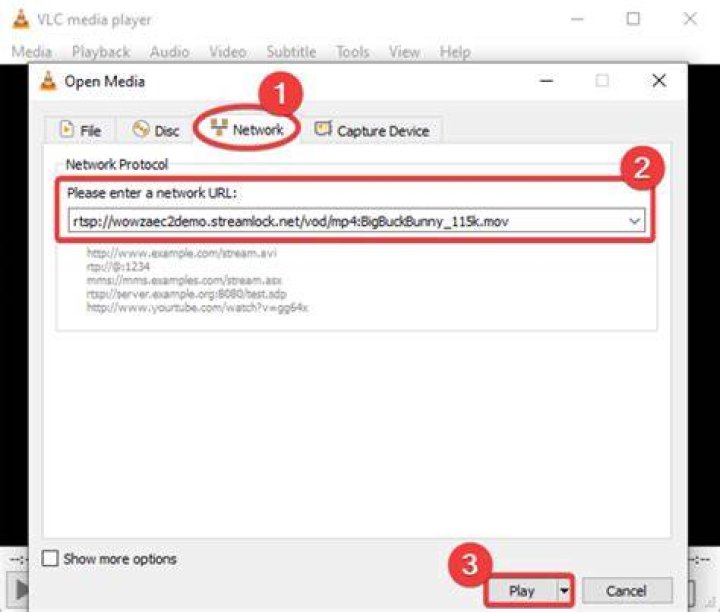 What is Network URL for VLC?