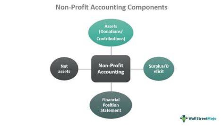 What is not for profit accounting?