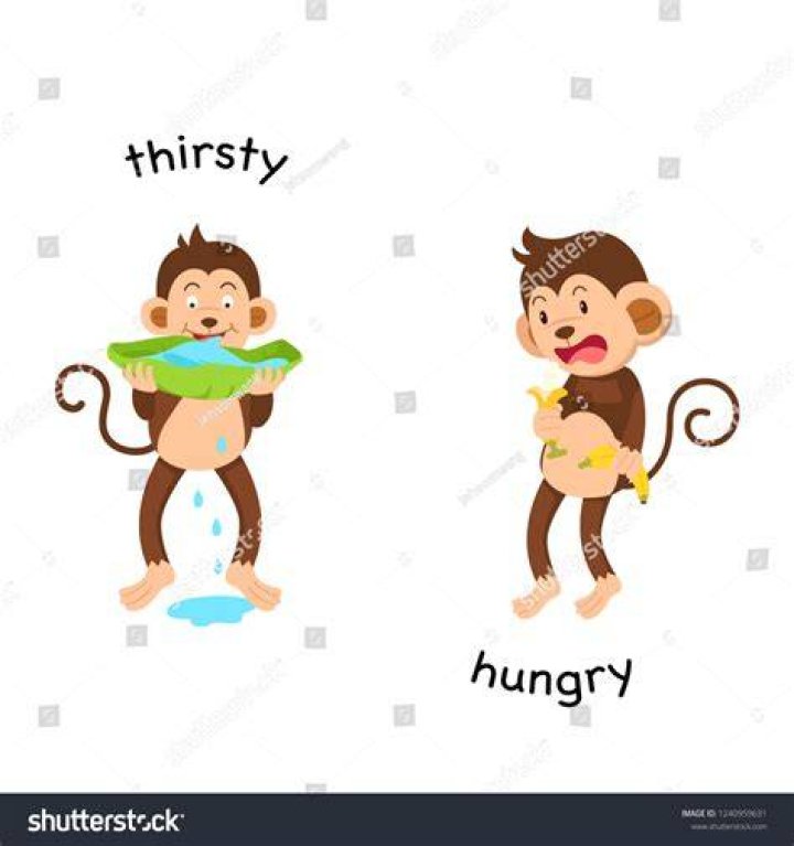 What is opposite of thirsty?