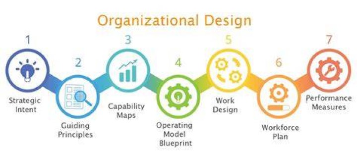 What is organizational design process?