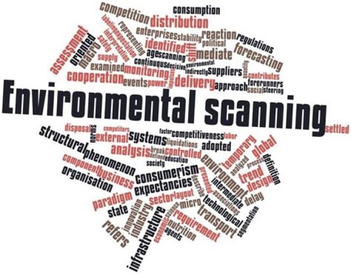 What is organizational environment scanning?