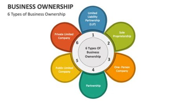 What is ownership and types of ownership?
