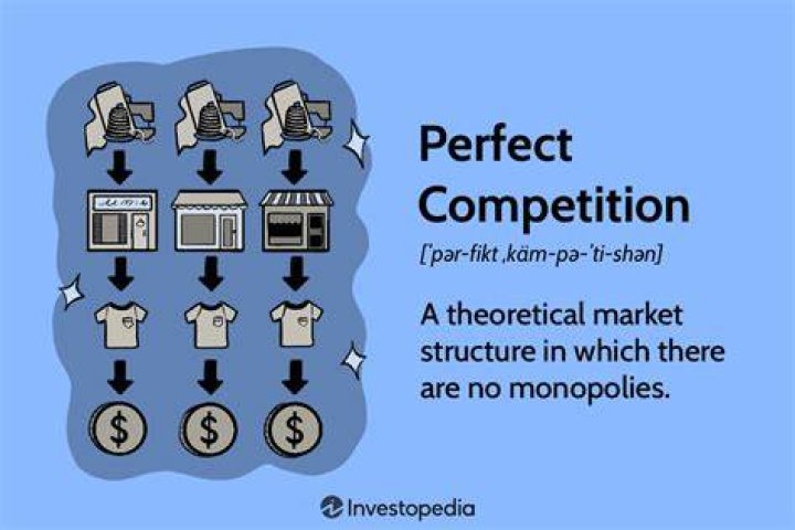 What is perfect competition in economics with examples?