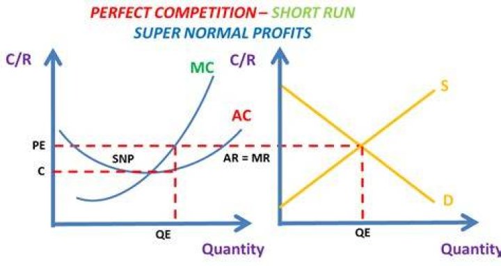What is perfect competition in short run?