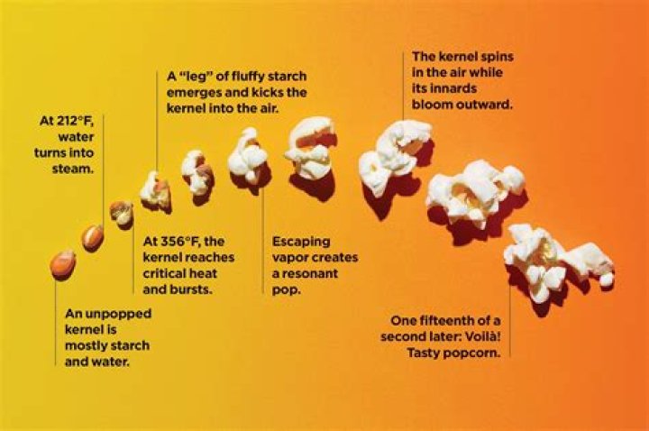 What is popcorn called before it's popped?