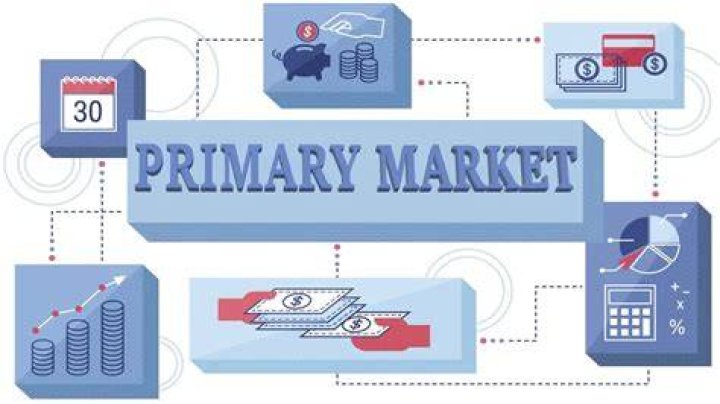 What is primary market and examples?