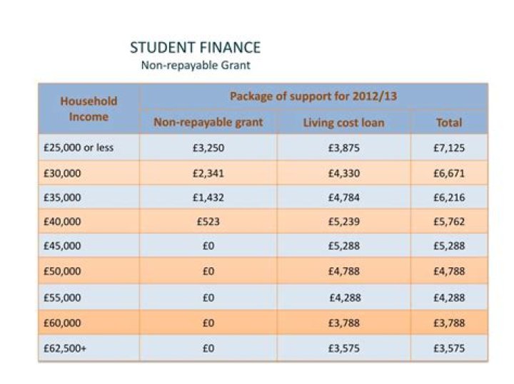 What is repayable grant?