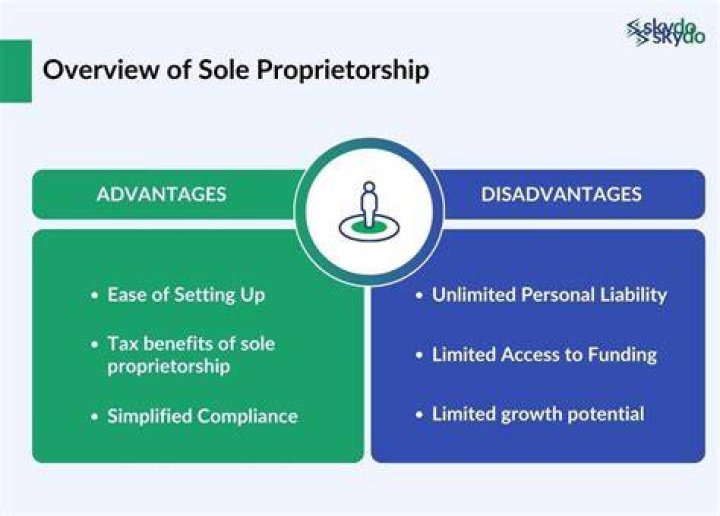 What is revenue for sole proprietorship?