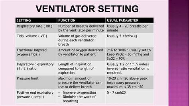 What is RR in ventilator?
