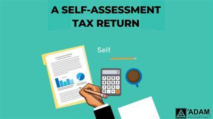 What is Self Assessment use tax?