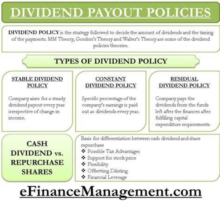 What is strict dividend policy?