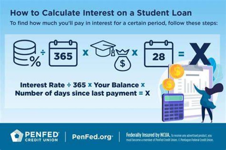 What is student loan interest paid?