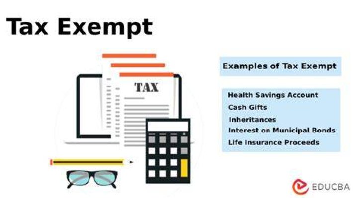 What is tax-exempt non qualified interest?