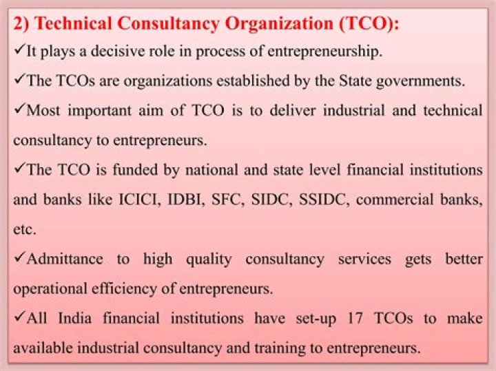 What is TCO in entrepreneurship?