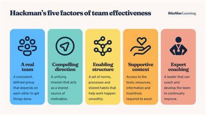 What is team effective model?