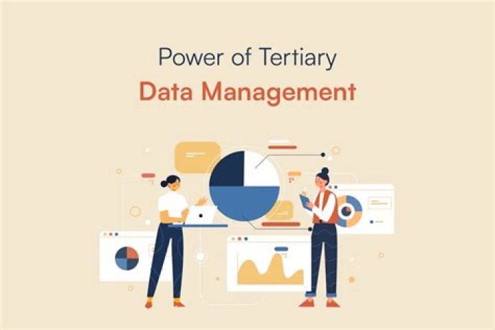 What is tertiary data?