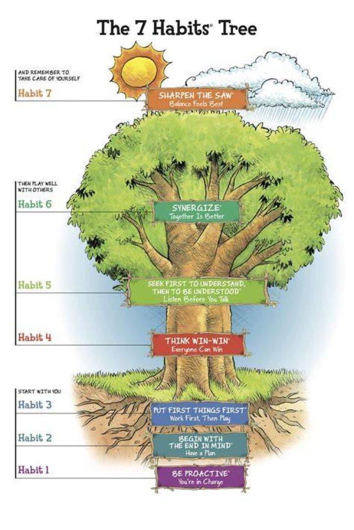 What is the 7 Habits program?