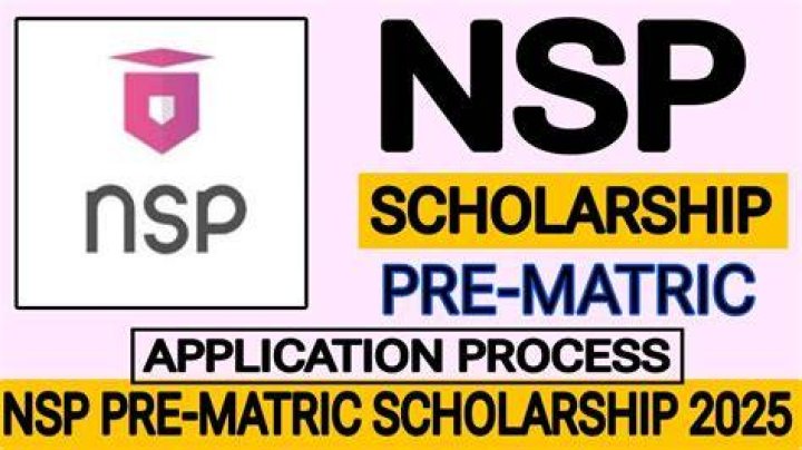 What is the amount of NSP scholarship?