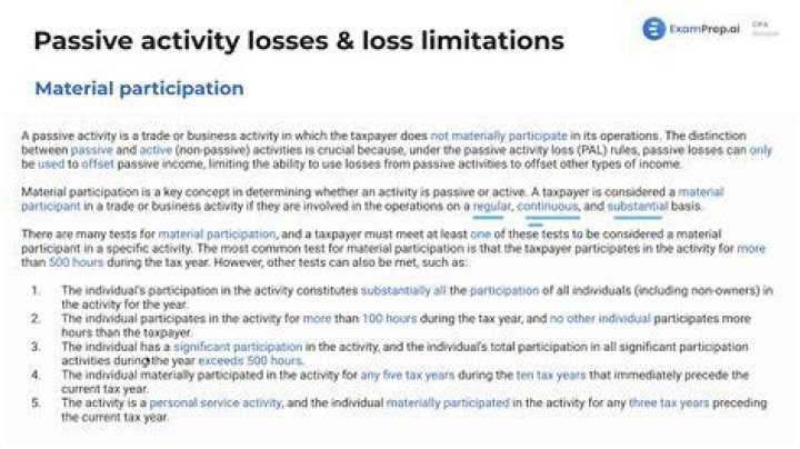 What is the amount of passive activity losses allowed in 2019?