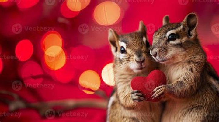 What is the animal of love?