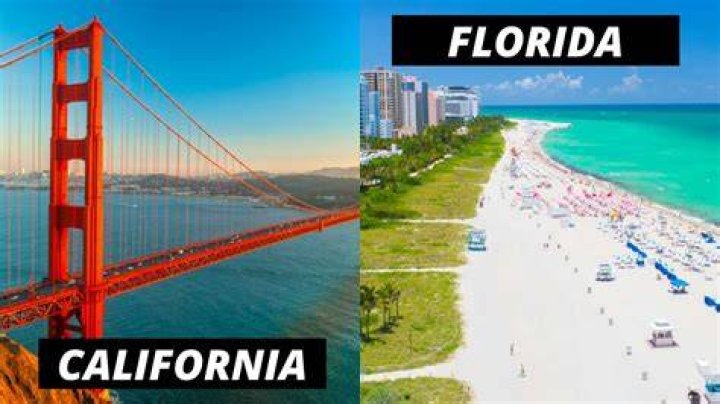 What is the average cost to move from California to Florida?